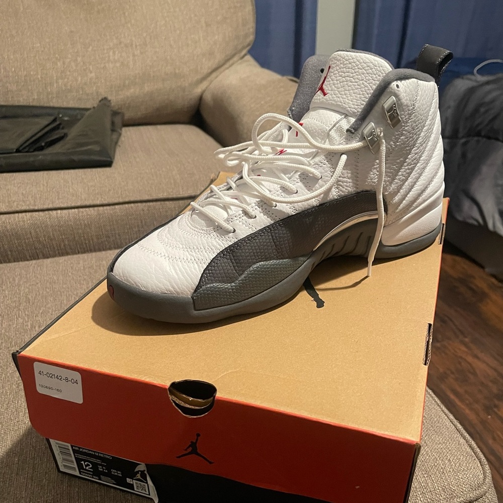 Air Jordan cool grey 12s